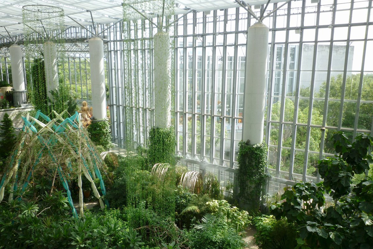 _narwhal____'s tweet photo. 無機質なものに囲まれた水と植物がすごく好きかも https://t.co/qHMMcRNrYo