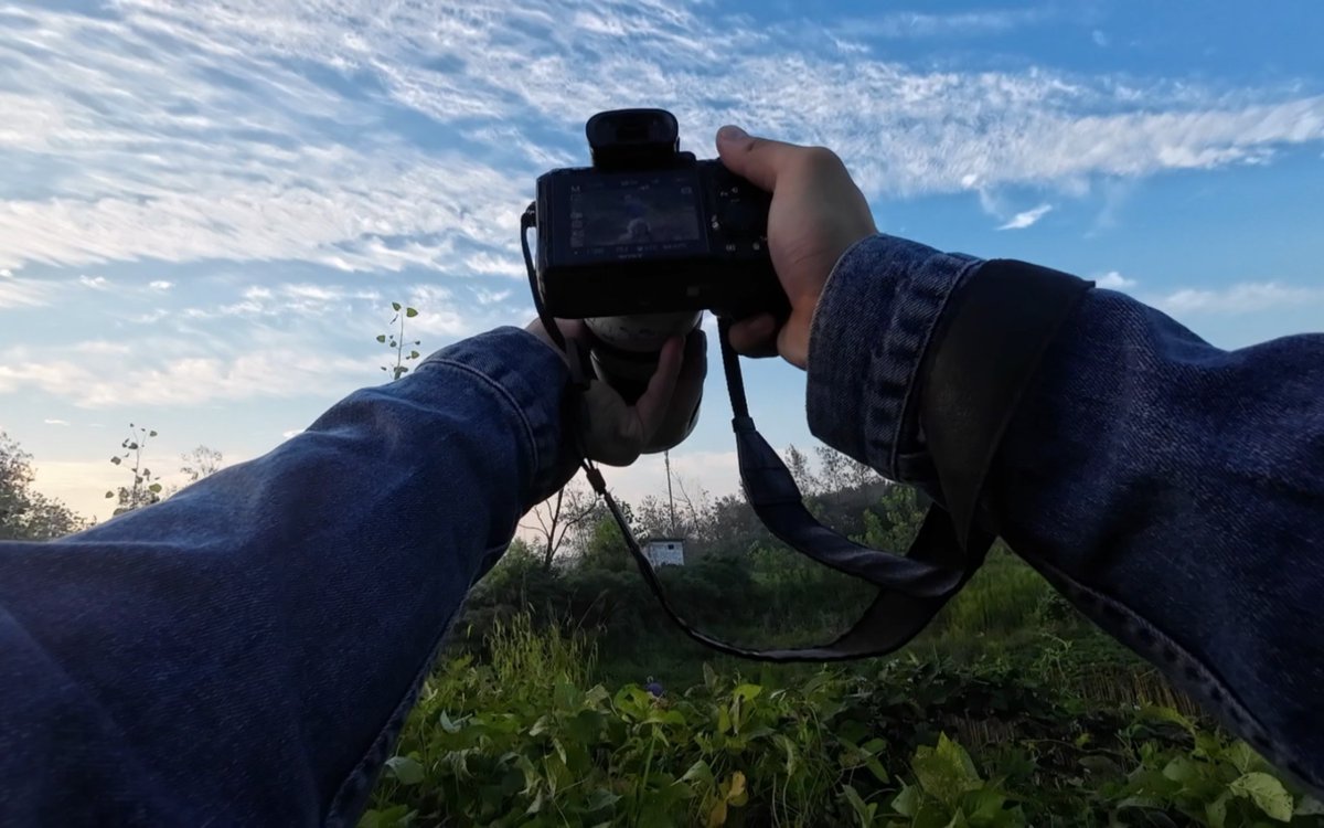 m_moore_197_99c's tweet photo. New to photography Start with these 3 easy tips: shoot in natural light, keep your subject centered, and check your composition before clicking. No fancy gear needed—just a phone works! https://t.co/PkJpp0clDe