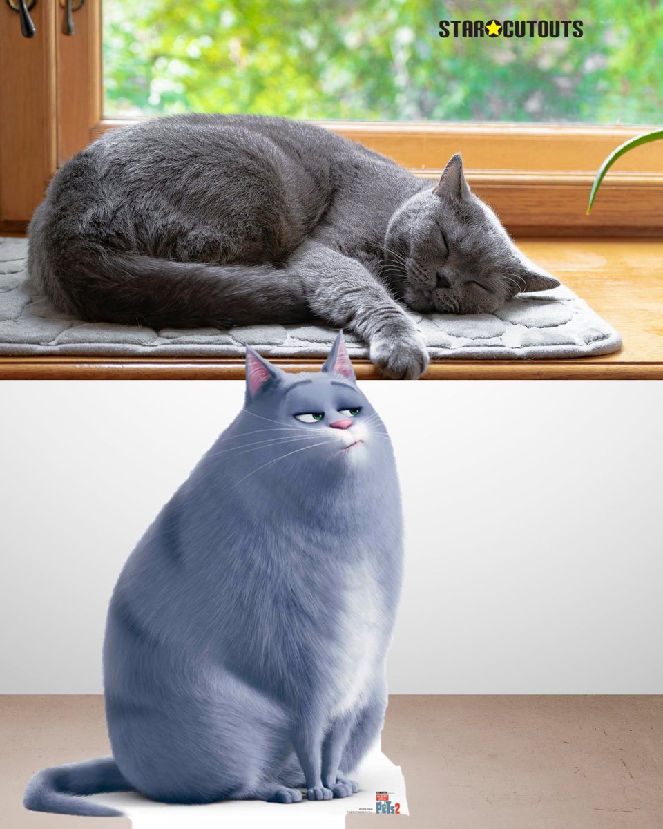 CutoutsStar's tweet photo. 🐾 Secret Life of Pets fans, I need answers.
Buddy, Chloe, Snowball or the dog who looks innocent until the second the humans leave?
Snowball was my best pick, but who was yours?
#SecretLifeOfPets #Snowball #ChloeCat #Buddy #MovieFans #KidsPartyIdeas #PetLovers #StarCutouts https://t.co/XDQ7k58aO7
