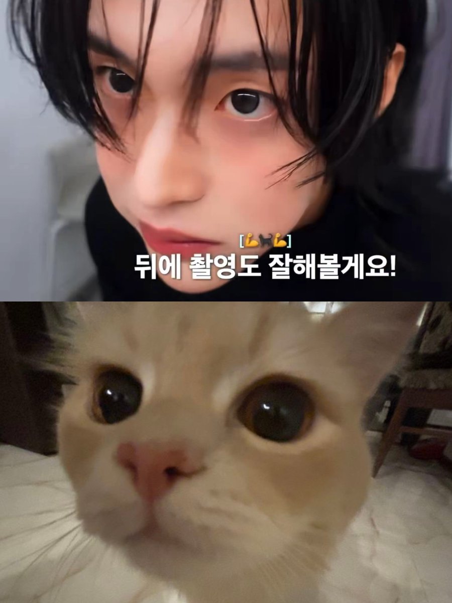 wbiniscat tweet picture