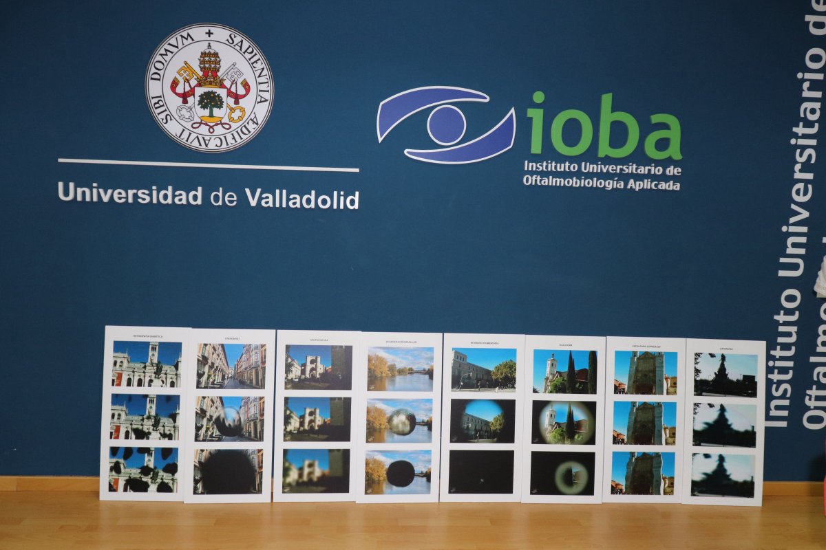 roscoma1966's tweet photo. ¡Muchas gracias a #RECyL por este valioso regalo para el #IOBA_UVa! 🎁
Estas imágenes nos ayudan a comprender cómo ven los pacientes con distintas enfermedades oculares, facilitando la formación y la empatía.
Una gran herramienta para seguir avanzando en la salud visual. 👏👀 https://t.co/cIGzj6JlS9