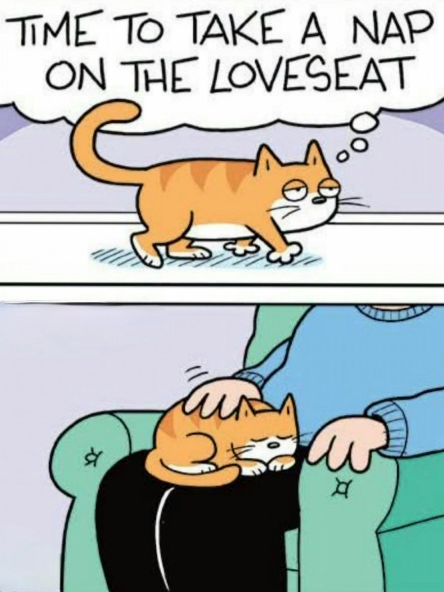 AlanSla90124663's tweet photo. Here's a bonus joke for Mizzerbull Monday from Pinky and Olly.

#RIPJanet 💜💜💜
#PinkyAndOlly 

❤️❤️❤️🌽🌽🌽❤️❤️❤️ https://t.co/LyqJzXEddo