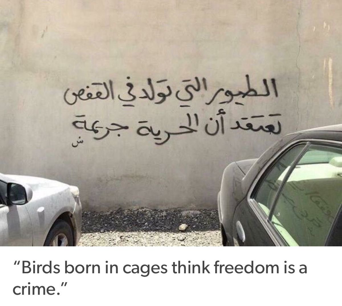 alzaja13's tweet photo. #٢٠٣٠_بلا_نقاب https://t.co/uObcTB4115
