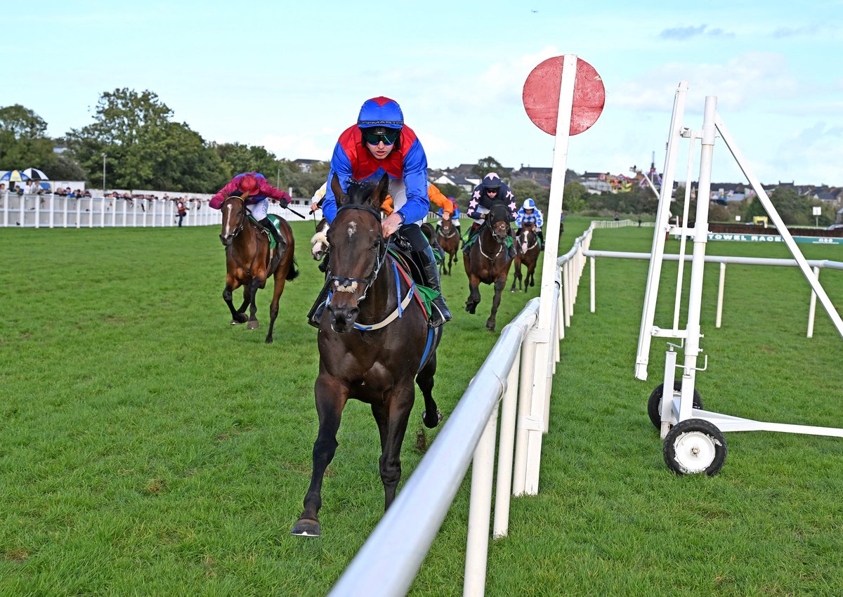 CoolmoreNH's tweet photo. More on-track success for VADAMOS’ first Coolmore-bred crop of four-year-olds! 🏆
 
She Was The One became the latest winner for her sire with an impressive four-length success in the bumper @ListowelRaces on Friday, leading home Shuil Solas in a VADAMOS 1-2.
 
Bred by the Bollin Jasmine Syndicate, the filly races in the colours of the JRM Syndicate and is trained by @d_g_hogan.
 
#CoolmoreNHSires #HomeOfChampions
