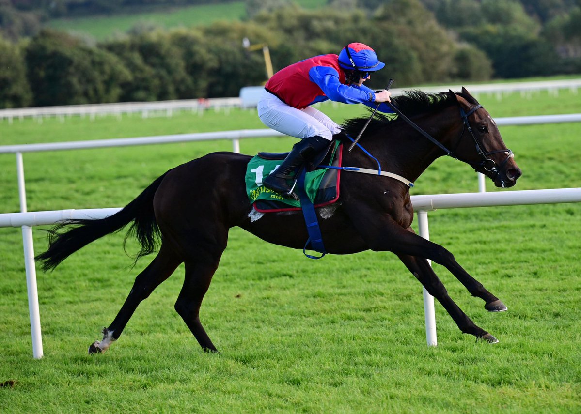 CoolmoreNH's tweet photo. More on-track success for VADAMOS’ first Coolmore-bred crop of four-year-olds! 🏆
 
She Was The One became the latest winner for her sire with an impressive four-length success in the bumper @ListowelRaces on Friday, leading home Shuil Solas in a VADAMOS 1-2.
 
Bred by the Bollin Jasmine Syndicate, the filly races in the colours of the JRM Syndicate and is trained by @d_g_hogan.
 
#CoolmoreNHSires #HomeOfChampions