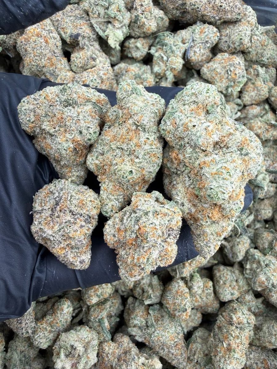 packpro___'s tweet photo. Winter Sunset
1+ $850
3+ $800
5+ $775
10+ $750

#CannabisCommunity
#CannabisCulture
#Cannabis
#WeedCommunity
#CannabisLife https://t.co/AXYYci8PhZ
