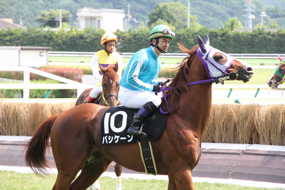 yuna10415's tweet photo. 2012年６月30日　福島ジャンプＳ(OP)
バシケーン(シルクジャスティス×リンダトリアーノ)
美浦・高橋義博厩舎
蓑島靖典Ｊ騎乗
2010年の中山大障害勝ち馬。翌年の春麗JSに63kgで出てきた時もビックリしましたが、このレースでは斤量65kgでした…。それでも４着に入ったのはさすがの貫禄。 https://t.co/HeOj38gluM