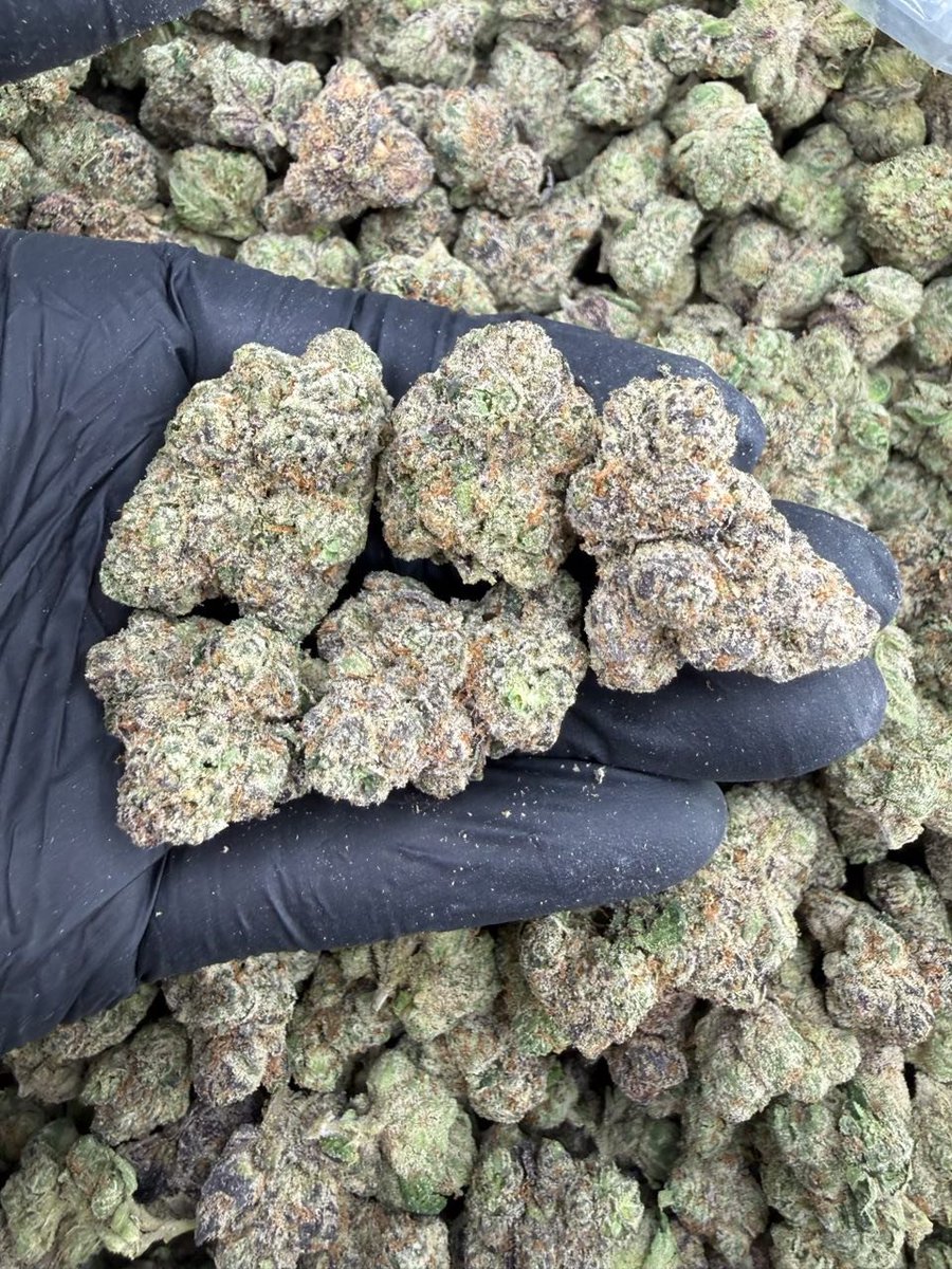 packpro___'s tweet photo. Designer Runtz
1+ $1150
3+ $1100
5+ $1075
10+ $1050

#CannabisCommunity
#CannabisCulture
#Cannabis
#WeedCommunity
#CannabisLife https://t.co/UW4goaUlJ8