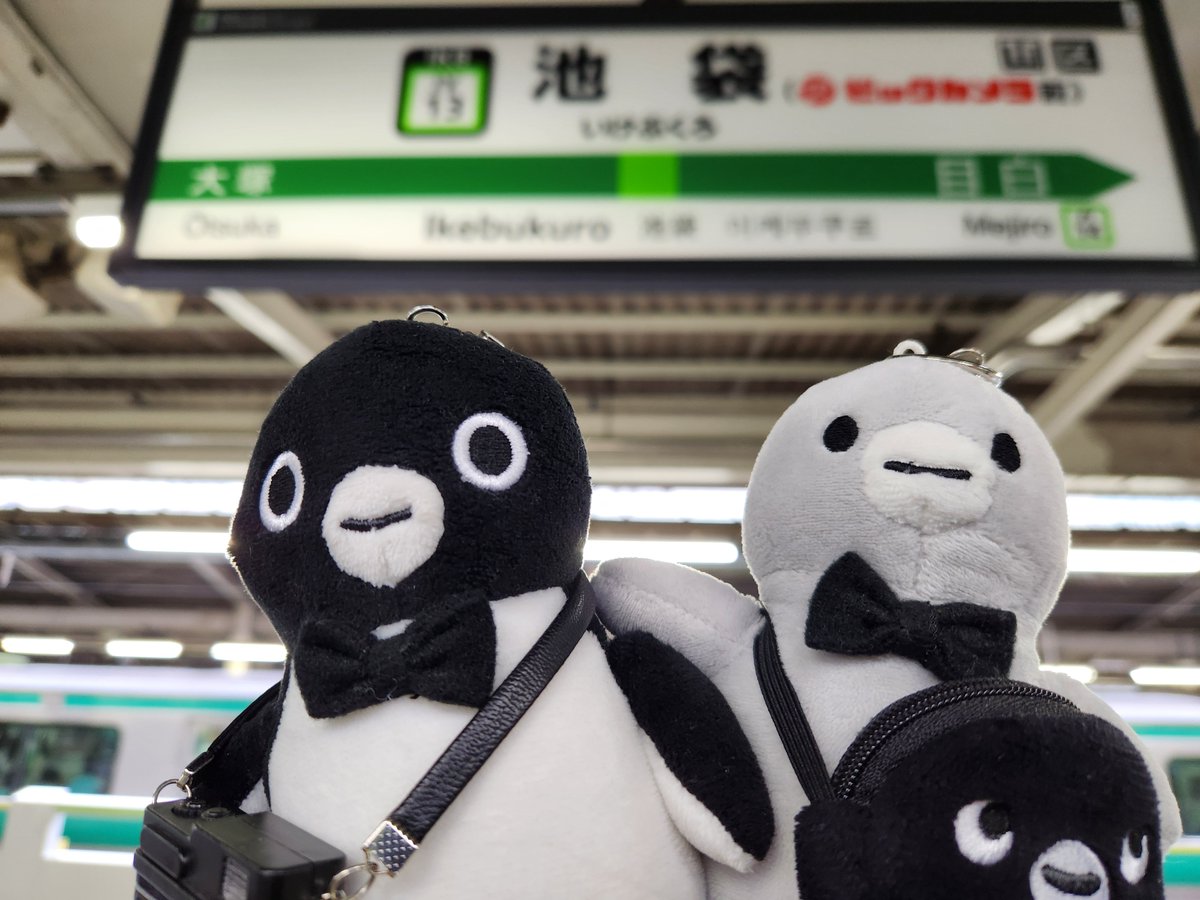 hiroshiwaon's tweet photo. 霧雨が舞う池袋駅
池袋駅のホームで流れるビックカメラのBGM
駅の発車メロディを聞いて、ビックカメラに行くことを思い出しました。
池袋のビックカメラでお買い物
お買い物を楽しむSuicaのペンギン達でした。
#Suicaのペンギン #ぬい撮り https://t.co/7oOfdMSUUx