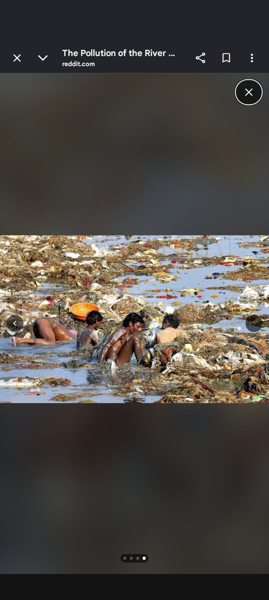 flocco25's tweet photo. @ChankyaBihar @MyronGainesX @i_reacted And you can waffle on about geopolitics in America all you want. But the bottom line is no high functioning. High IQ society like you find in East Asia, Europe and the West lives in filth like you filthy packies and Indians who live in that subcontinent do. That's the bottom line https://t.co/ObflUs526W