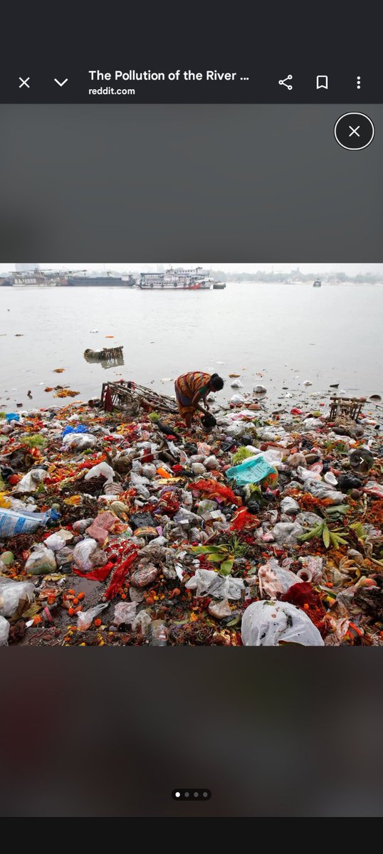 flocco25's tweet photo. @ChankyaBihar @MyronGainesX @i_reacted And you can waffle on about geopolitics in America all you want. But the bottom line is no high functioning. High IQ society like you find in East Asia, Europe and the West lives in filth like you filthy packies and Indians who live in that subcontinent do. That's the bottom line https://t.co/ObflUs526W