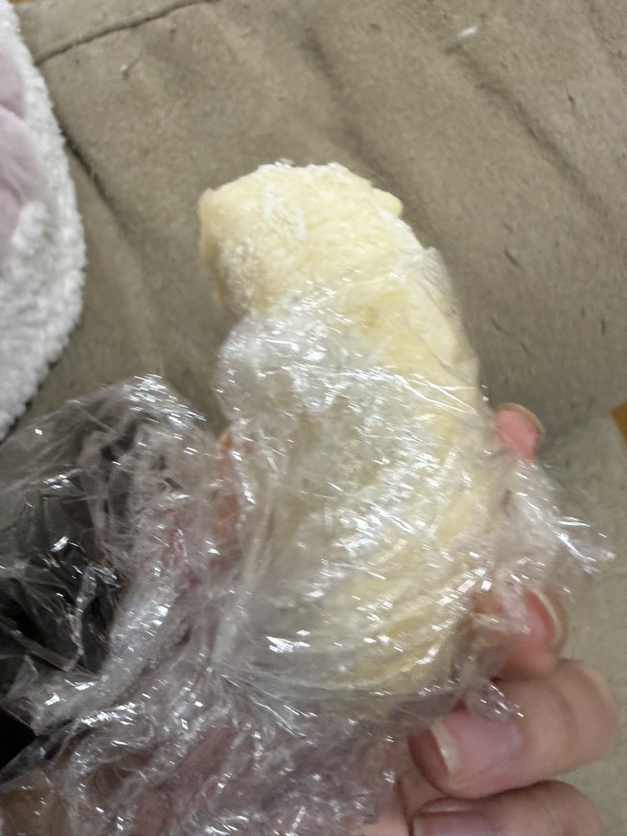 sKnari0o's tweet photo. これが今日の飯たち。3枚目は食いかけのバナナ https://t.co/7dN8k1cQen