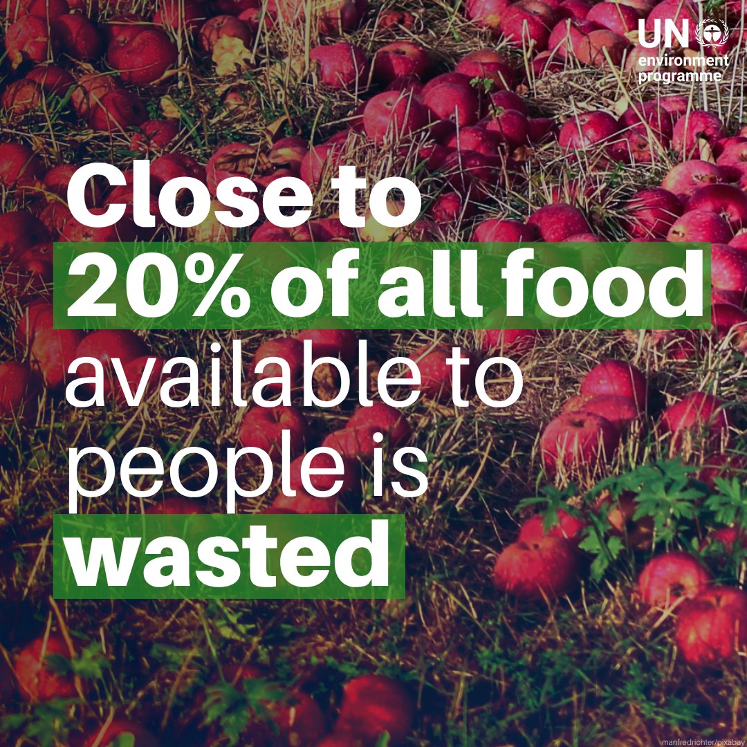 UNEP's tweet photo. Nearly 1 in 5 portions of food available to consumers goes to waste.

That means the land, water, energy and labour used to produce it are wasted too.

This #FLWDay and every day, it’s time to #StopFoodLossWaste and make better use of our planet’s resources.

https://t.co/HZIG8Lwv2g