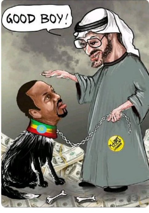 drhossamsamy65's tweet photo. #Ethiopia:
⛔️Genocidal- Abiy Ahmed wanted the Red Sea for his UAE masters.

⛔️Instead, he lost control across #Tigray, #Amhara and #Afar. https://t.co/Wb7eTb8M3P