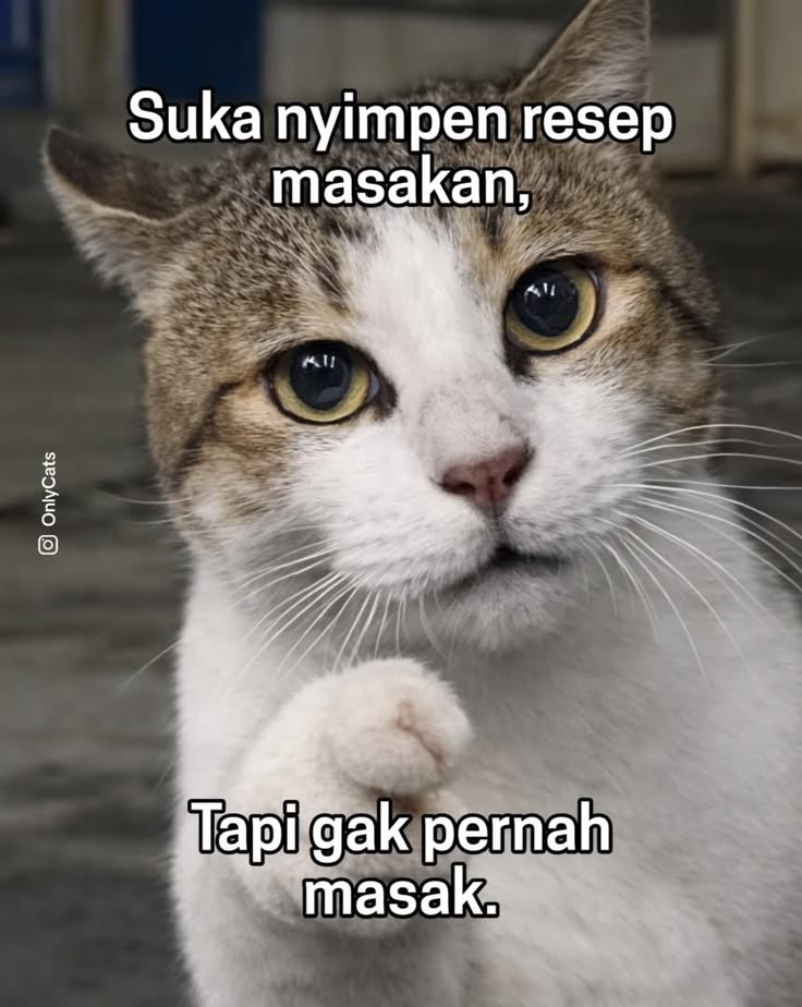 kingal_12's tweet photo. kelakuan siapa nihh? https://t.co/E08XUXH2fa