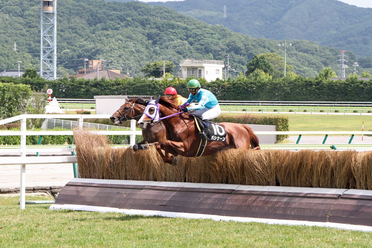 yuna10415's tweet photo. 2012年６月30日　福島ジャンプＳ(OP)
バシケーン(シルクジャスティス×リンダトリアーノ)
美浦・高橋義博厩舎
蓑島靖典Ｊ騎乗
2010年の中山大障害勝ち馬。翌年の春麗JSに63kgで出てきた時もビックリしましたが、このレースでは斤量65kgでした…。それでも４着に入ったのはさすがの貫禄。 https://t.co/HeOj38gluM