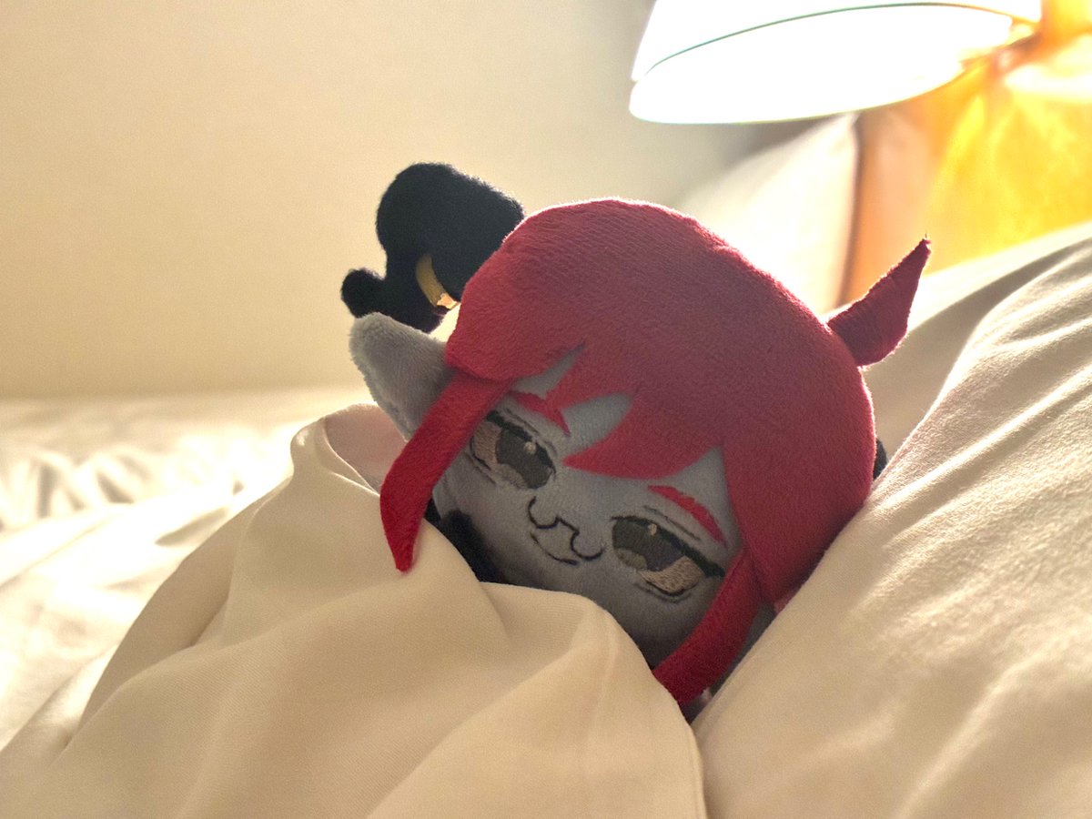 sleepingo0O's tweet photo. 意中の相手とか……いらっしゃるんですか？
※ﾊﾟﾛ。ｼﾞｼﾞﾂﾑｺﾝ。 https://t.co/MB1SJCqa94