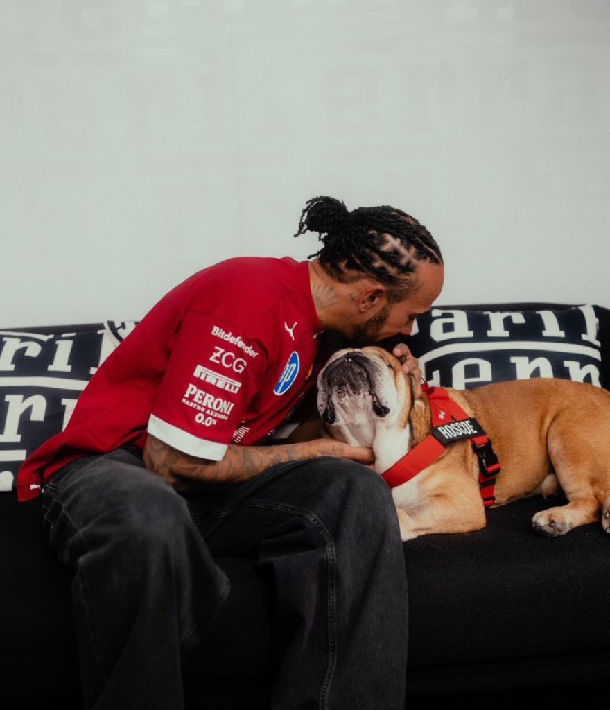 F1Cox256's tweet photo. One year today we remember Lewis Hamilton’s Bulldog ROSCOE. 
We really miss you ROSCOE. https://t.co/os2hNFrj7T