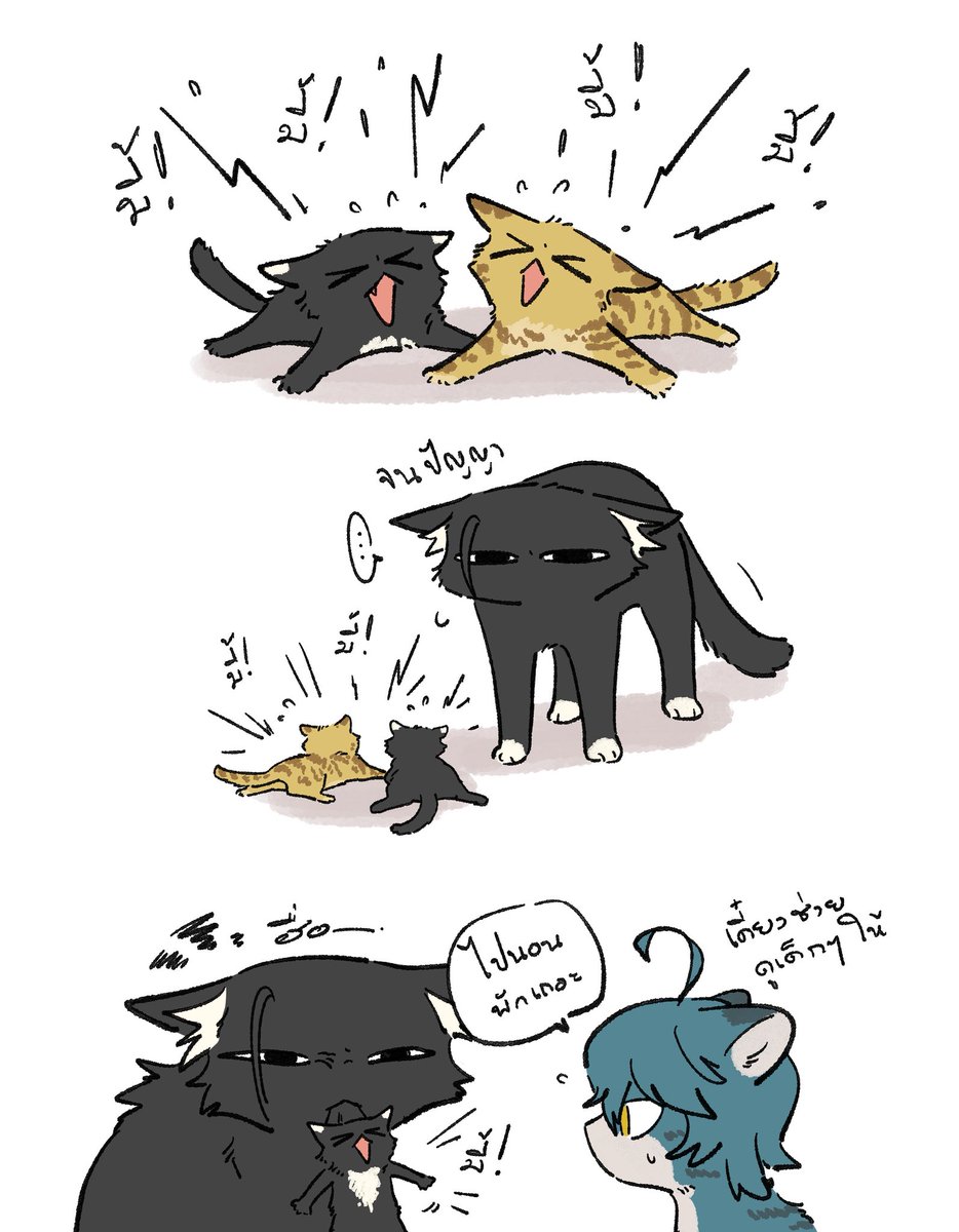 ks_lobos's tweet photo. 🐈🐈‍⬛ https://t.co/yG9t0oiWQV