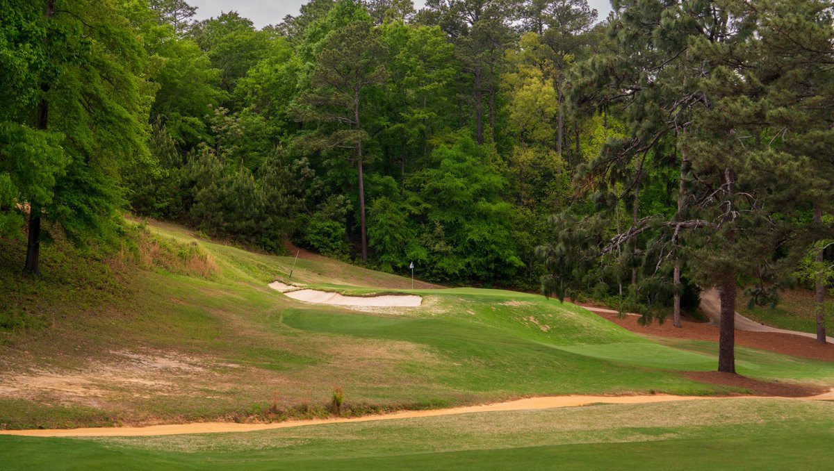 jliebertgolf's tweet photo. Palmetto Golf Club in Aiken, South Carolina https://t.co/sAnTBDRTZU