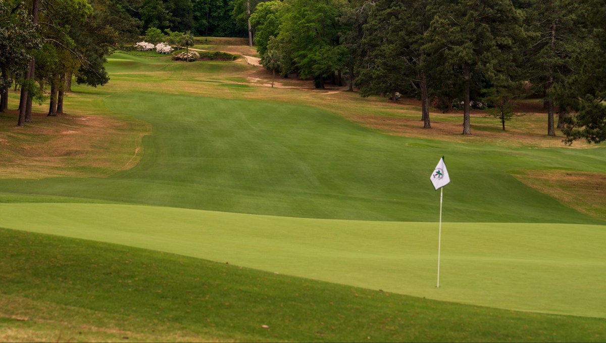 jliebertgolf's tweet photo. Palmetto Golf Club in Aiken, South Carolina https://t.co/sAnTBDRTZU