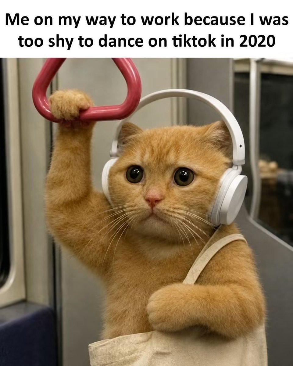 WholesomeMeme's tweet photo. https://t.co/BLIrS9ugOb