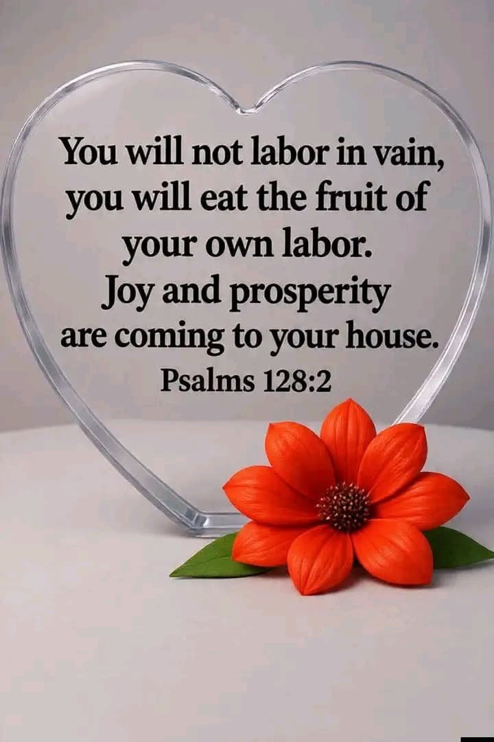 PraiseDike222's tweet photo. We will not labour in vain 🙏🙏🙏 https://t.co/yf67dHFhrv