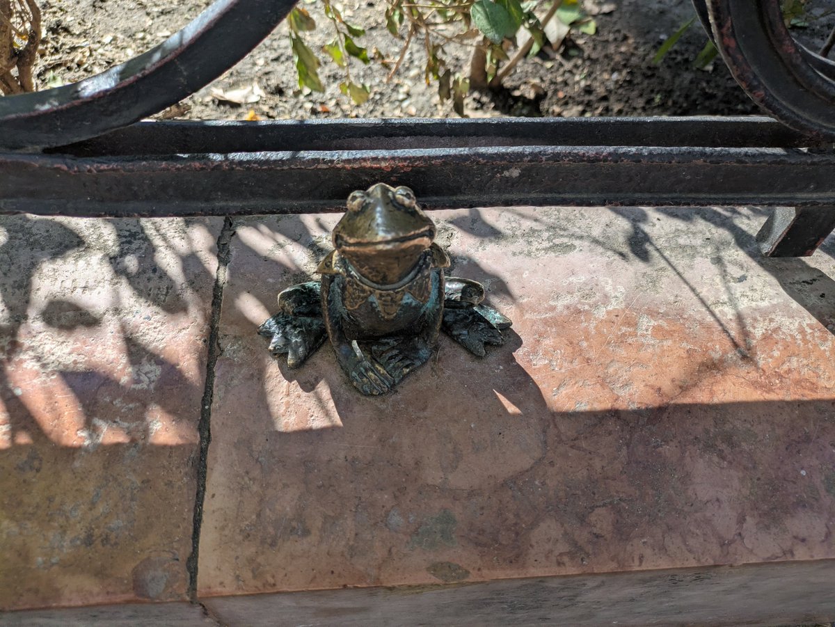 obichan117's tweet photo. みんな写真撮ってたけど、なんだこの🐸 https://t.co/fRVUXPvvZB