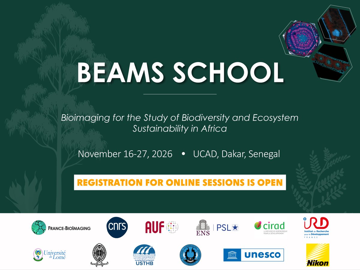 Fr_BioImaging's tweet photo. [EVENT] From November 11 to 27, 2026, the BEAMS School will take place in Dakar

Registration to attend the BEAMS School in person is now closed, but you can follow the conferences &amp; theoretical courses online!

More info➡️https://t.co/pvqkgoJixP

⏳Register before Oct. 31, 2026 https://t.co/6tAxJs2Gvz