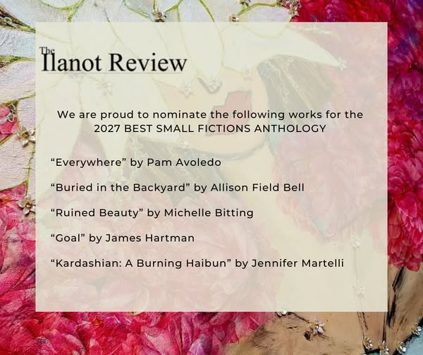 ilanot_review's tweet photo. We are delighted to nominate these fine pieces for the 2027 Best Small Fictions Anthology. https://t.co/BH2WUB5nA8