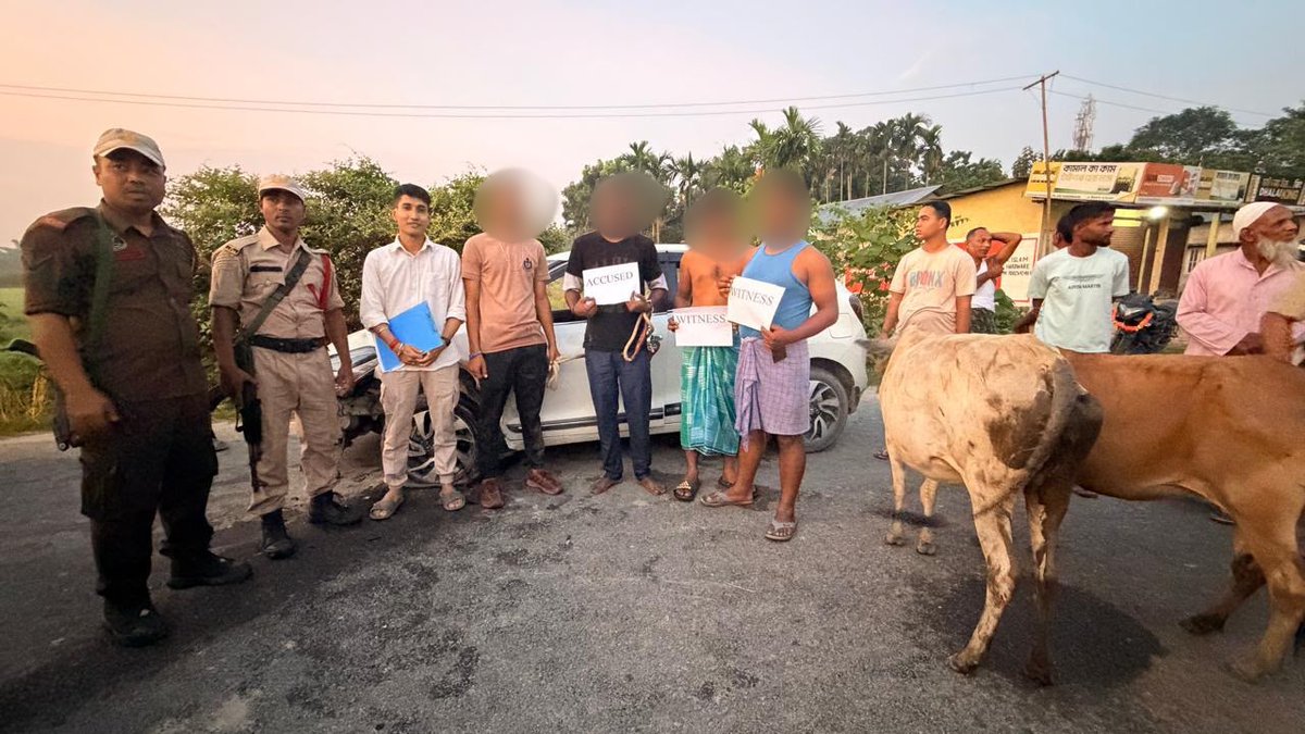 himantabiswa's tweet photo. Looks like the cattle smugglers’ GPS is still not working. 

@chirangpolice intercepted 6 vehicles carrying 51 cattle in Chirang and detained 10 persons. Another 52 cattle were recovered in separate operations across Dhubri, Fakirganj, Sapatgram and Salkocha by @Dhubri_Police.

A total of 103 cattle have been saved from the clutches of the cattle mafia.