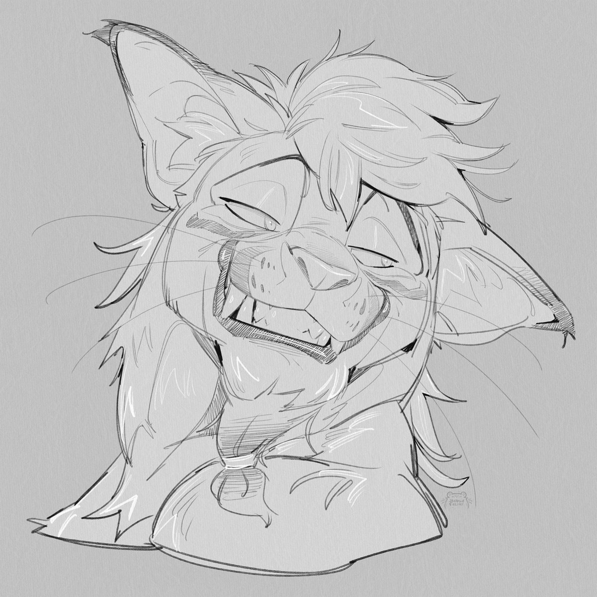 BearlyFeline's tweet photo. So much smugness stored in one cat! https://t.co/YpAGE0s8oq