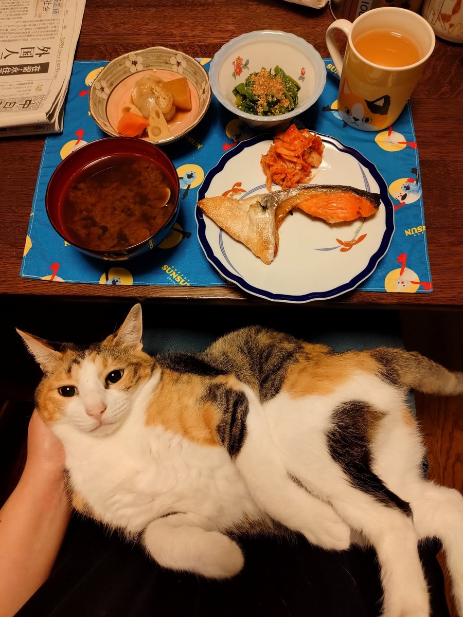 kawaii_nekoniko's tweet photo. 鮭カマしじみ汁ツルムラサキたべました https://t.co/MVOl8W2rvL