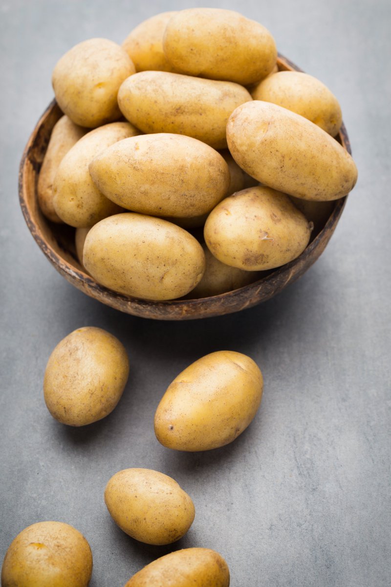 gb_potatoes's tweet photo. 🥔 Only buy enough potatoes to last you for two weeks
🥔 Don't store them in the fridge

👩‍🌾 This is the advice of one farmer with 38 years' experience growing, storing and cooking potatoes - read on for more tips thanks to Simply Recipes.
https://t.co/StqkCALBSQ https://t.co/v8ahItWXKc