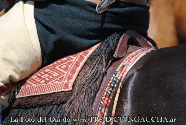 tradiciongaucha's tweet photo. 📸 #FotoDelDía #Lomillo #Tradición 
https://t.co/oIN5NfkW12 https://t.co/0KVtcIuSw2
