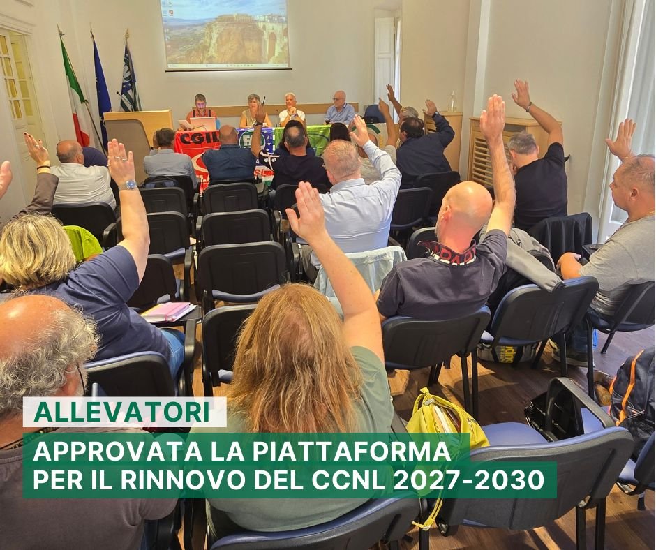 fai_cisl's tweet photo. Allevatori: approvata dall’attivo unitario di Fai-Cisl, Flai-Cgil, Uila-Uil e Confederdia l’ipotesi di piattaforma per il rinnovo del Ccnl 2027-2030.
👇
L’ipotesi di rinnovo, arricchita dal recepimento di diversi emendamenti frutto delle assemblee svolte in tutta Italia, presenta alcune novità determinanti per dare risposte concrete alle lavoratrici e ai lavoratori del settore zootecnico, e per riconoscere e valorizzare le professionalità che operano in un comparto strategico per il made in Italy agroalimentare.
💰 Sul piano economico, particolare rilievo assume la proposta di incremento salariale del 6,5% nel biennio 2027-2028, finalizzato a garantire il potere d’acquisto delle lavoratrici e dei lavoratori rispetto all’aumento del costo della vita.
⚖️ Per quanto riguarda gli aspetti normativi, la piattaforma è caratterizzata da molteplici novità, tra le quali: 
✔️ il rafforzamento della contrattazione decentrata, per rispondere maggiormente alle specificità organizzative, produttive e territoriali; 
✔️ la valorizzazione delle professionalità e dei percorsi di carriera, attraverso il riconoscimento delle competenze, delle responsabilità e dell’esperienza maturata; 
✔️ la richiesta di alcune indennità, come quelle per chi esercita attività di tutor, oppure opera in condizioni di disagio o con esposizione a condizioni climatiche particolari; 
✔️ l’ampliamento dei permessi e delle tutele individuali e per i familiari, per favorire una migliore conciliazione tra tempi di vita e tempi di lavoro; 
✔️ la centralità della formazione;
✔️ il rafforzamento della partecipazione dei rappresentanti dei lavoratori.
📢 “L’approvazione della piattaforma per il rinnovo del contratto nazionale – dichiarano i sindacati – rappresenta un passaggio fondamentale per sostenere il rilancio di un settore che svolge un ruolo essenziale a livello occupazionale, per l’economia dei territori, la sicurezza alimentare, i servizi di controllo della qualità e della tutela della salute pubblica, contribuendo al tempo stesso alla competitività e ai livelli di export dell’intera filiera zootecnica. In questo quadro, il sistema allevatoriale nazionale rappresenta un patrimonio di competenze e professionalità che necessita di sempre maggiore sostegno, valorizzazione e di un’attenzione costante da parte delle istituzioni”.
👉 La piattaforma contrattuale sarà inviata nei prossimi giorni alle controparti.

🔍 https://t.co/HbosUWZBHh 

#lavoro #agroalimentare #allevatori #zootecnia #contratti