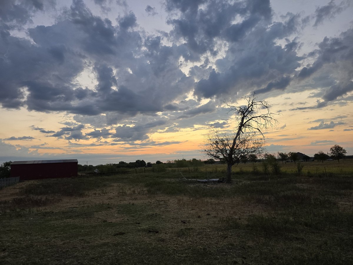 ButtNuggetFarms's tweet photo. @chase_the_high Good morning from Texas! https://t.co/A36yrdGwob