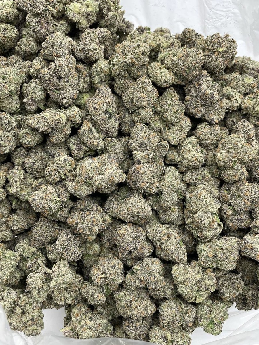 packpro___'s tweet photo. Nitro Nerdz indoors 
10/10 candy bag for the head stash 🔥 lots of color and perfectly cured with an amazing bag appeal and candy nose

$1400 P
$1350 5+
$1300 10+
$1200 25+

#CannabisCommunity
#CannabisCulture
#Cannabis
#WeedCommunity
#CannabisLife https://t.co/ZXpTBmCHdB
