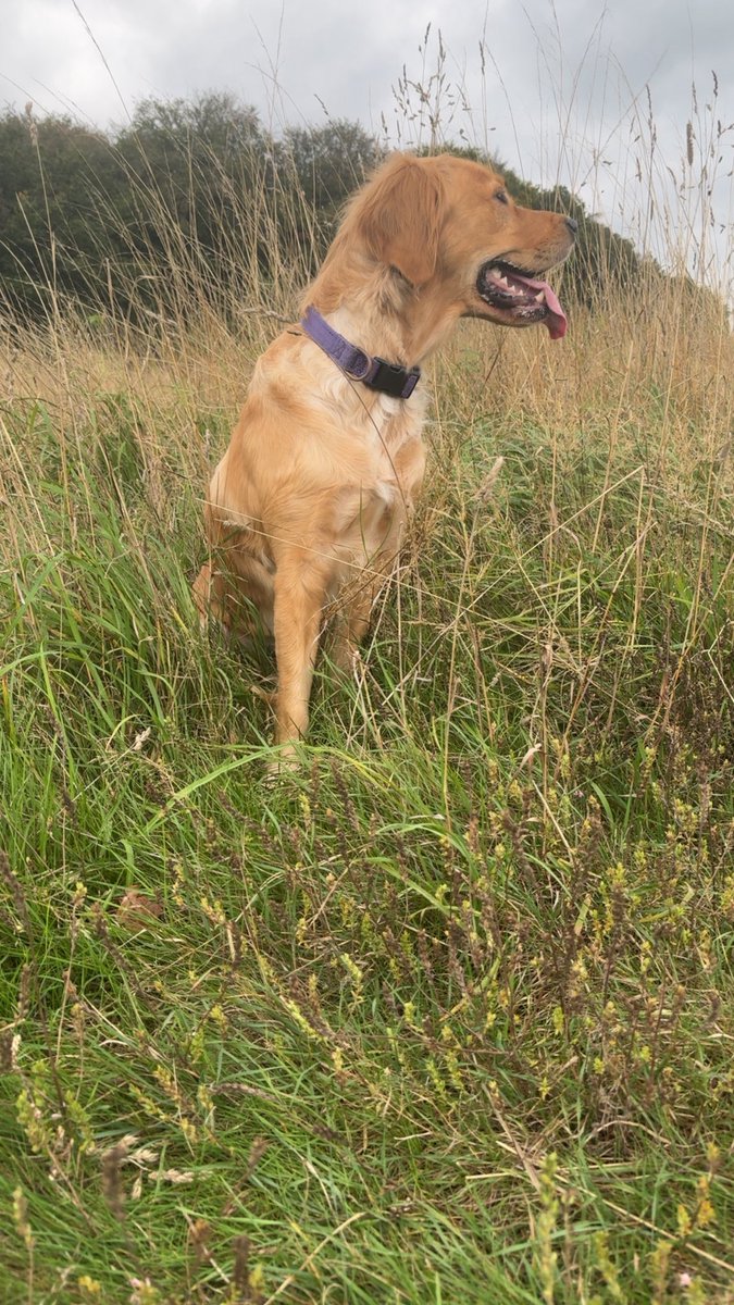 the_Xeth's tweet photo. My dawg! You are Athena - badass in the arena!!! 🔥💅😍💪

#GoldenGirl #OnlyChild 👸 https://t.co/B5VuZ4Ak0P