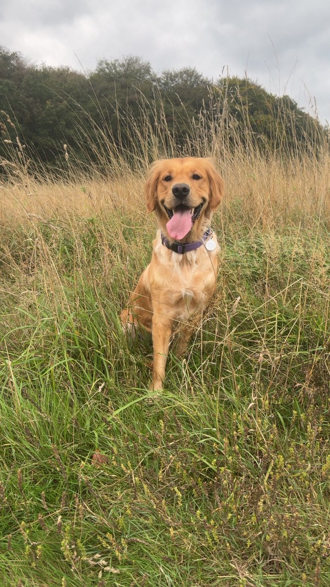 the_Xeth's tweet photo. My dawg! You are Athena - badass in the arena!!! 🔥💅😍💪

#GoldenGirl #OnlyChild 👸 https://t.co/B5VuZ4Ak0P