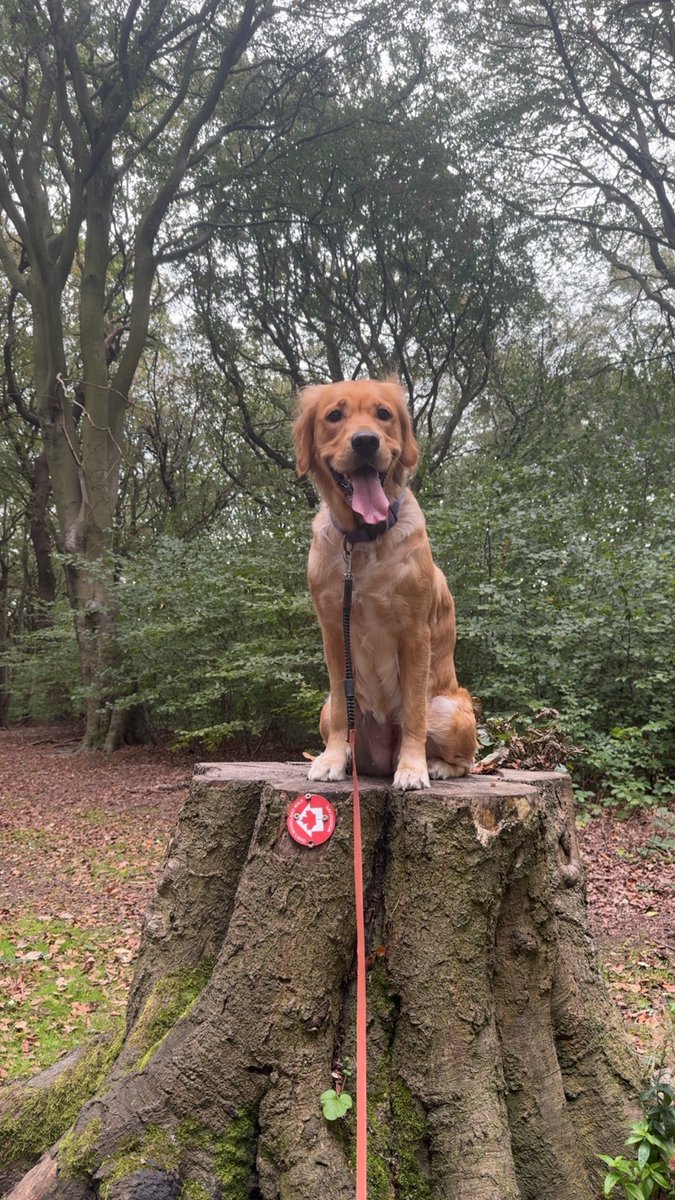 the_Xeth's tweet photo. My dawg! You are Athena - badass in the arena!!! 🔥💅😍💪

#GoldenGirl #OnlyChild 👸 https://t.co/B5VuZ4Ak0P