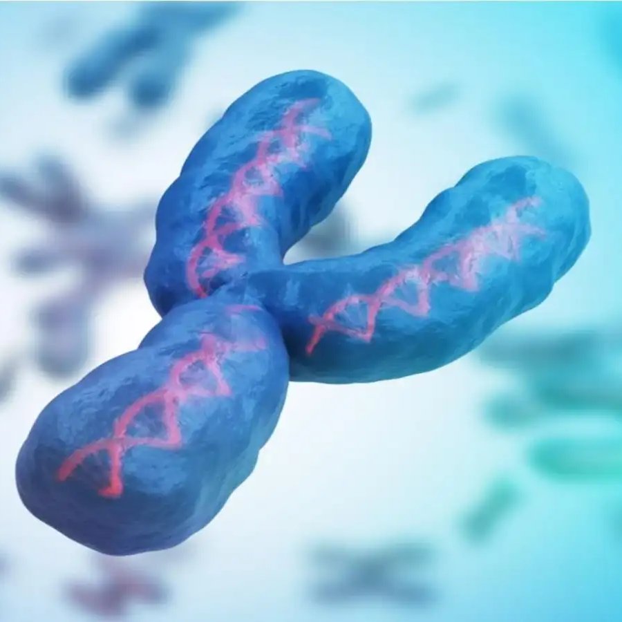 NightSkyToday's tweet photo. 🚨: The chromosome which determines male sex in humans, Y CHROMOSOME, is slowly fading away. https://t.co/L6yOJHi1bO