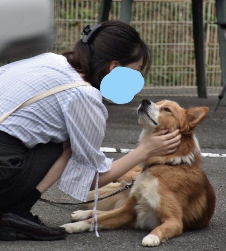 hoorGF's tweet photo. 5年前会いに行ったｲｯﾇたち。
袖のリボンは動画のやんちゃ坊主が引っ張りまくって解いた https://t.co/Cp4k4R3WsG