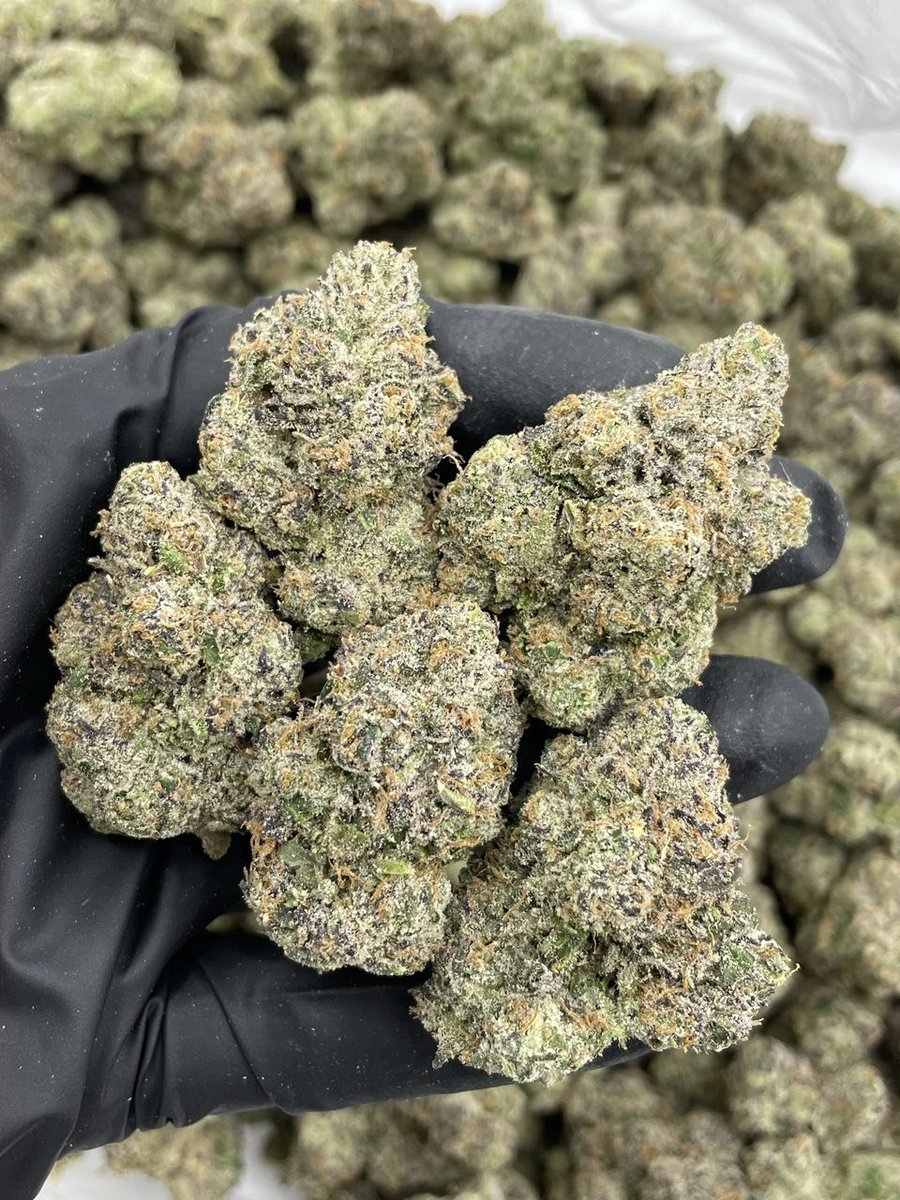 packpro___'s tweet photo. Big league chew indoors
High end candy smoke pack caked in trichomes 🔥 super loud bubblegum candy nose with sprinkles of color 💨

$1375 P
$1325 5+
$1275 10+
$1175 25+ https://t.co/k2p3YmRLWv