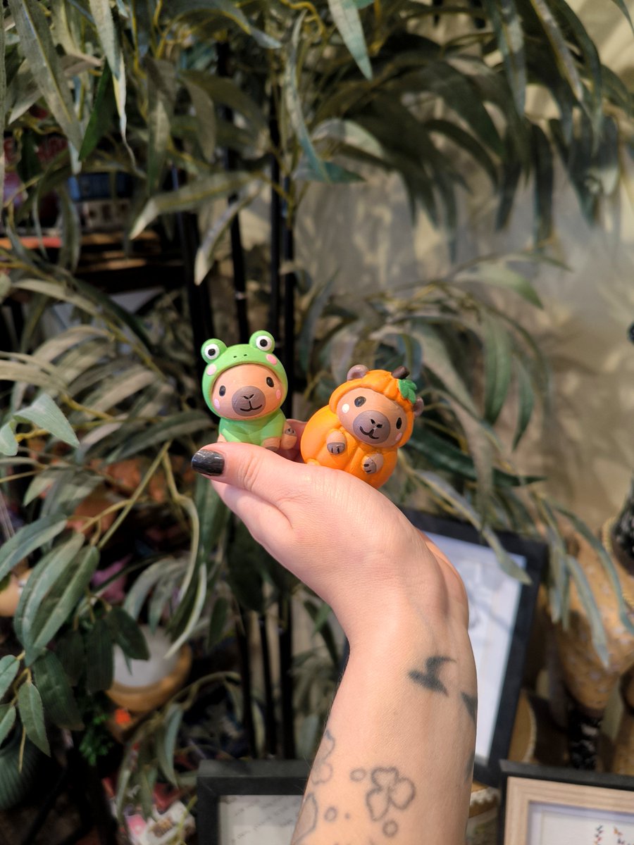 ArtLymia's tweet photo. J'ai terminé tout les petits Capy 🥺🌱 https://t.co/HrlIIBtio0