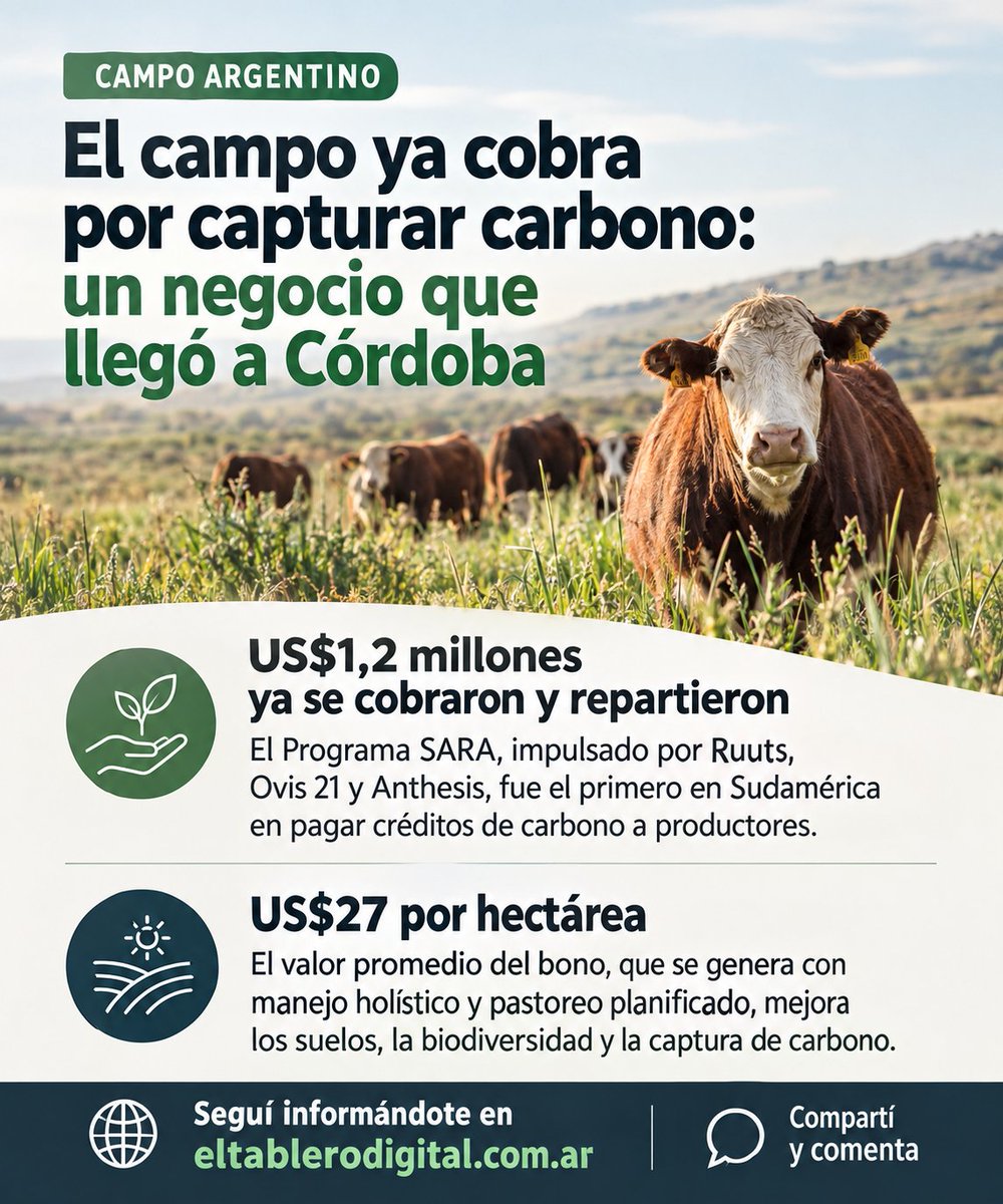 tablerodigital's tweet photo. Del pastoreo a los créditos de carbono: el campo argentino abrió un nuevo negocio.
US$1,2 millones ya fueron cobrados y repartidos en el primer ciclo del programa SARA.
¿Puede convertirse en una nueva fuente de ingresos para el agro? https://t.co/quT85HFv71

 #Carbono #Ganadería https://t.co/VstysfArB5