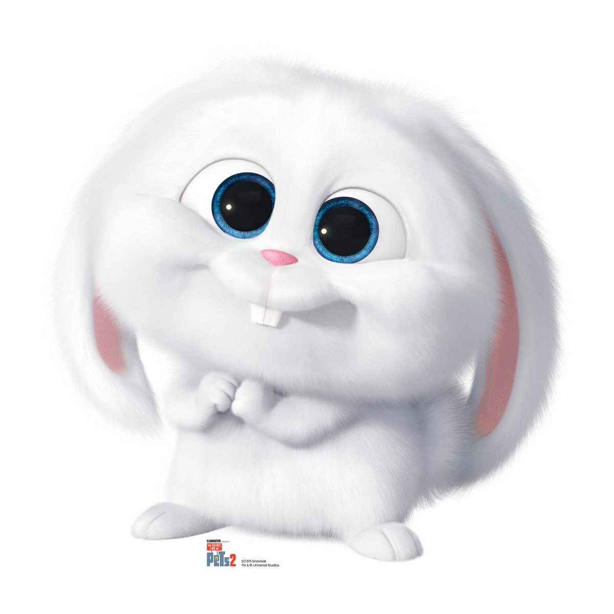 CutoutsStar's tweet photo. 🐾 “I was Team Snowball, but Buddy, Chloe and Max keep arguing over who gets the sofa!” #Lancashire #Manchester #Cheshire #SecretLifeOfPets #Snowball #PetLovers #StarCutouts https://t.co/ODG4lpw3Au