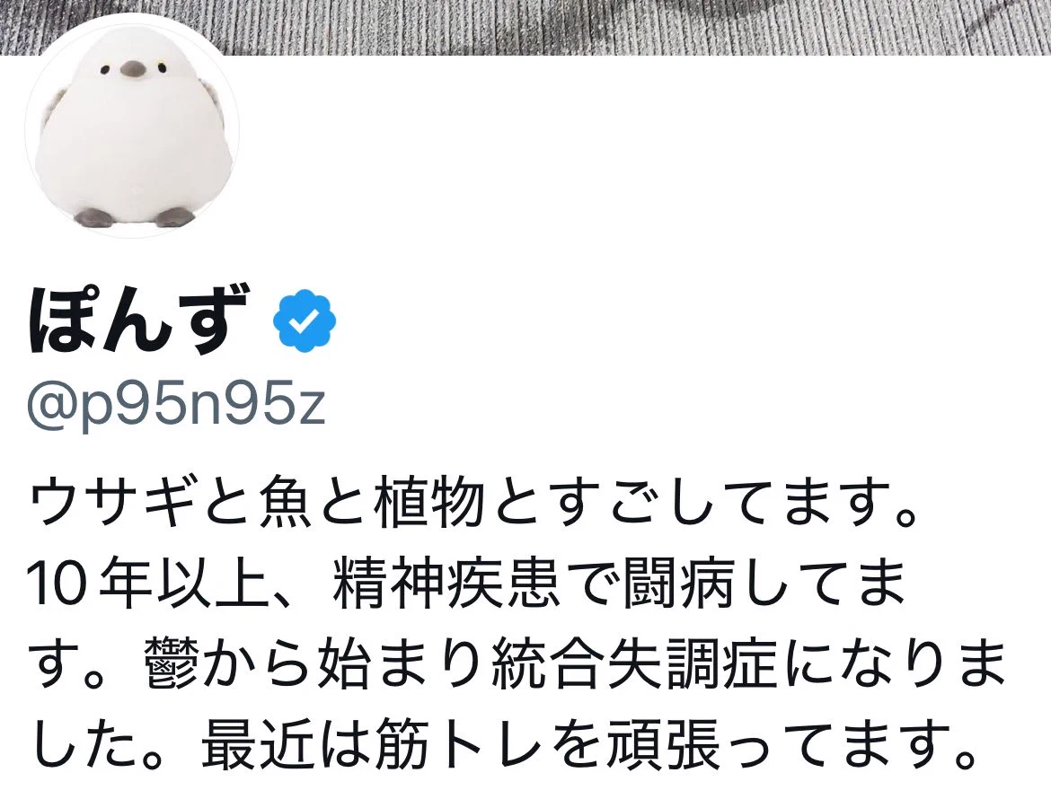 ぽんず on X: 