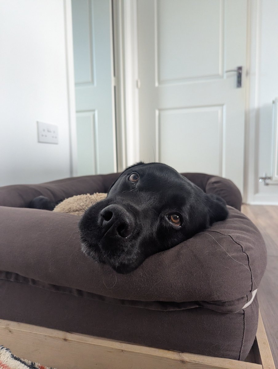 ablacktale's tweet photo. Mondays are very busy 🤭 https://t.co/ndk3cB979T