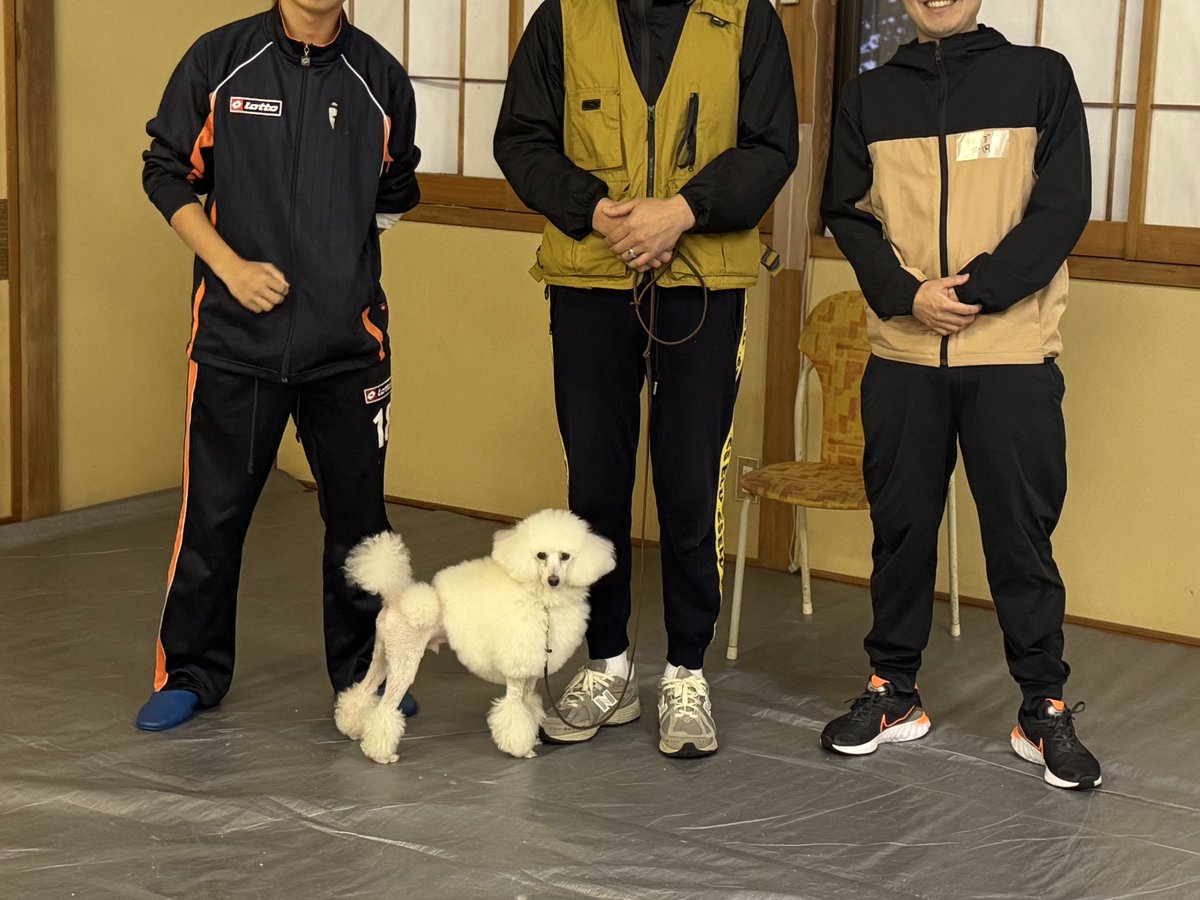 Pomelo_Chang's tweet photo. 山本央子先生の家庭犬トレーニング研修合宿に今年もブンちゃんと行ってきました！ブンちゃんはたびたびかいぬしが気になりながらも今年は他の参加者さんたちとたのしく作業ができたようで大変ほっとしました😌かい主もブンちゃんを気にせず他の犬さんたちとたくさん実習できました！ https://t.co/togqIDm92a